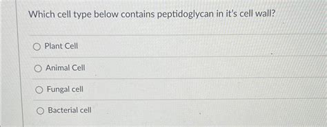 Solved Which cell type below contains peptidoglycan in it's | Chegg.com 