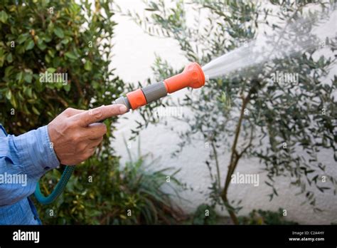 Male Hand Watering Garden Stock Photo Alamy