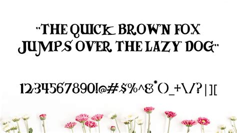 Muppet Font Free Download