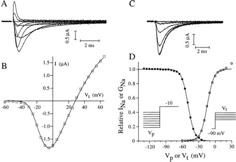 Voltage Dependence Of Activation And Inactivation Of Para TipE Sodium