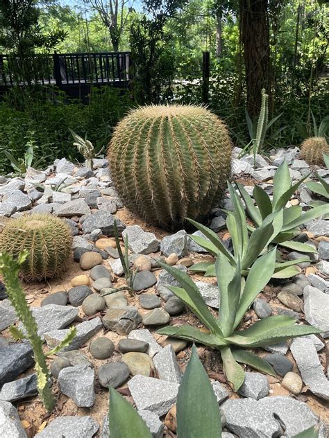 Albladez - Oh my goodness, this is delicious! I brought a recipe back