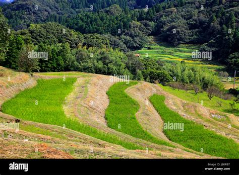 Oyama Senmaida Terraced Rice Field Kamogawa City Chiba Japan Stock