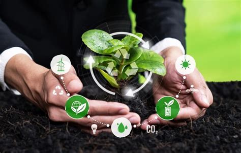 Premium Photo Businessman Nurturing And Growing Plant Seedling With