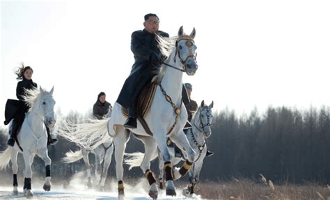 North Korea releases photos of Kim Jong Un again riding white horse on ...