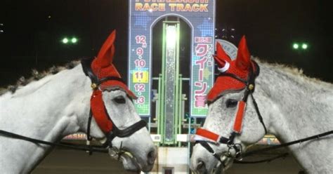 【船橋👊🏇勝負🏇🔥勝負レース👊🔥】26（火）【4r】c2五六（発走時刻1615）｜さやだま