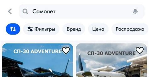 Ozon начинает онлайн-продажу легкомоторных самолетов для туризма и ...