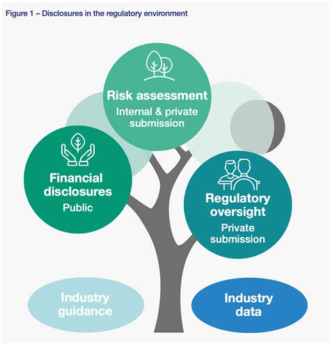 Climate Disclosure Best Practice Regulatory And Tcfd Insuranceerm