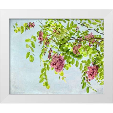 poinski dianne  white modern wood framed museum art print titled