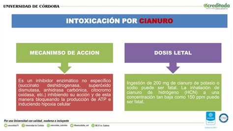 Intoxicacion Por Alcoholes Etilico Y Metilico Y Cianuro Pptx