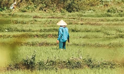 De Perfecte Reisroute Voor 3 Weken Backpacken In Vietnam