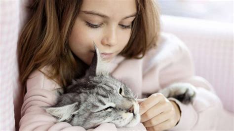 Haustier Sch Tzen Zehn Fakten Ber Katzen Wissen