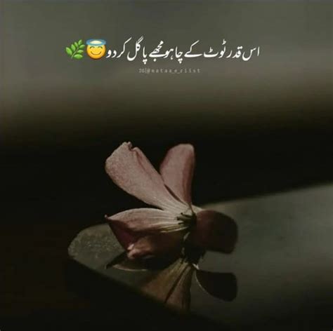 An Image Of A Pink Flower With Arabic Writing On The Backgrounge Background