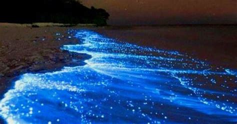 Sunset Swim & Kayak Bioluminescent Puerto Rico | Parguera Water Sports