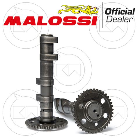 Malossi Welle A Nocken Doppelt Power Cam Yamaha T Max Ie T