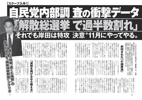 自民党内部調査の衝撃データ「解散総選挙で過半数割れ」 週刊ポスト Dマガジン