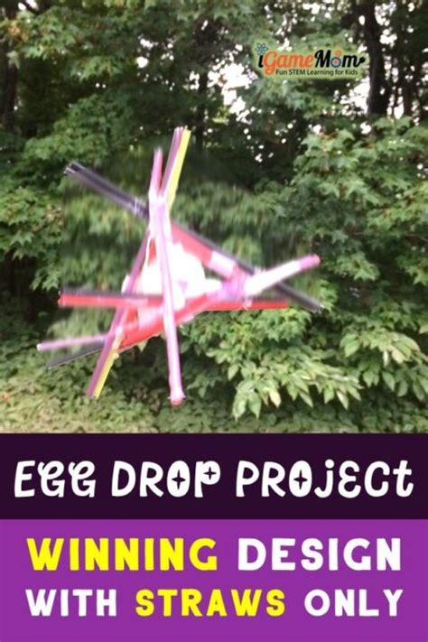 Successful Egg Drop Project Design With Straws