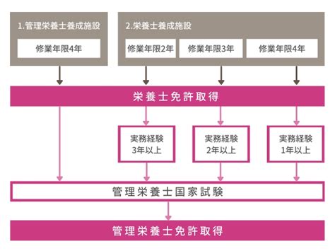 栄養士と調理師の違いとは？難易度の比較や資格取得方法を解説 情報かる・ける