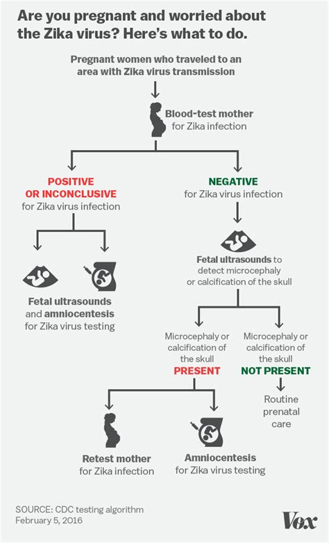 9 Questions About The Zika Virus You Were Too Embarrassed To Ask Vox