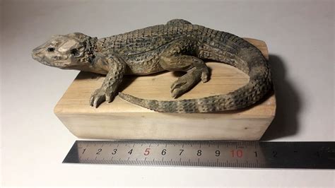 Lizard Sculpture Wooden Large Lizard Animal Carving Etsy