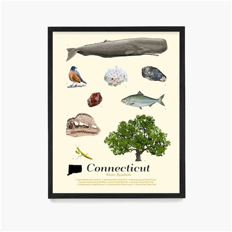 Connecticut State Symbols Poster Connecticut Wall Art | Etsy