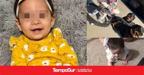 Beba Muri Tras Ser Atacada Por Dos Rottweiler De La Familia