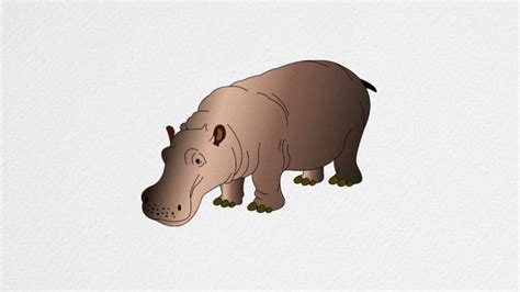 How To Draw A Hippo Step By Step Youtube