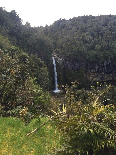 Visit Taranaki: Best of Taranaki Tourism | Expedia Travel Guide