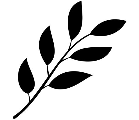 Leaf Black And White Png Photo Png Mart