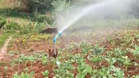 How To Set Up Irrigation System Youtube