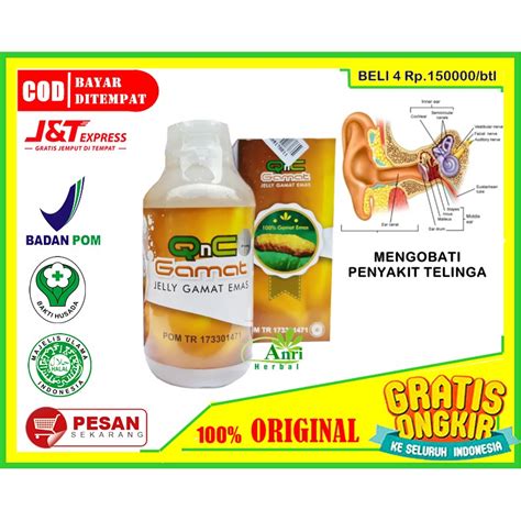 Jual Obat Sakit Telinga Berdengung Tinnitus Berair Bernanah