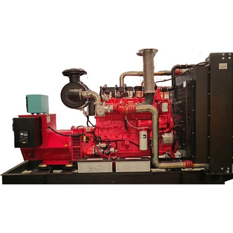 300kw Biogas Electric Generator With Cummins Gas Engine Emergency