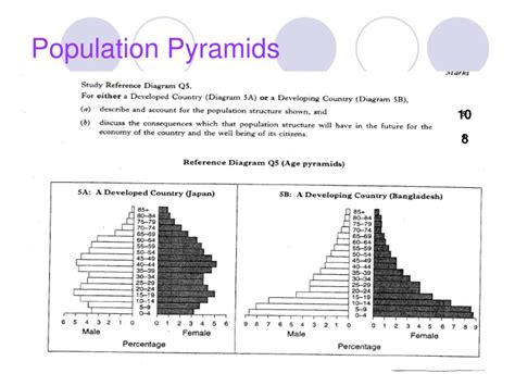 Ppt Population Pyramids Powerpoint Presentation Free Download Id 5104253