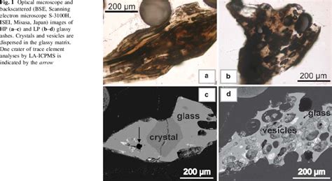 Optical microscope and backscattered (BSE, Scanning electron microscope ... 