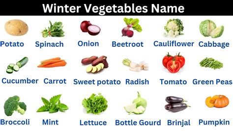 Vegetable Names Learn Vegetable Names With Pictures Vegetables Name