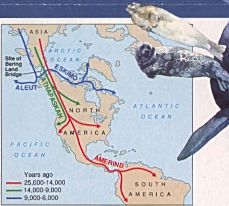 Mapa De Primeras Rutas Migratorias Americanas Mapa Owje