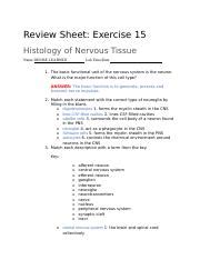 Review Sheet Exercise 15 Docx Review Sheet Exercise 15 Histology Of