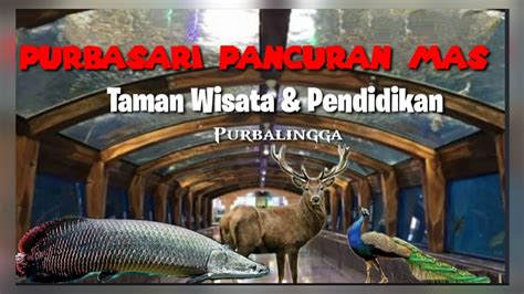 Purbasari Pancuran Mas Purbalingga YouTube