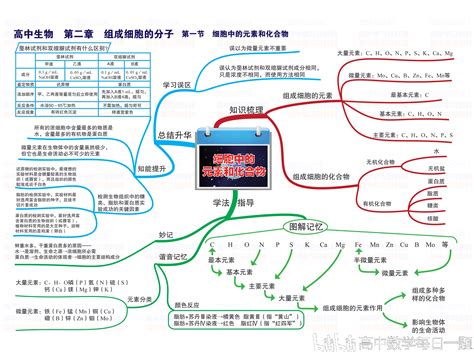 高中生物思维导图，高清全版 哔哩哔哩