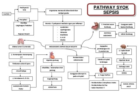 Sepsis Six Pathway