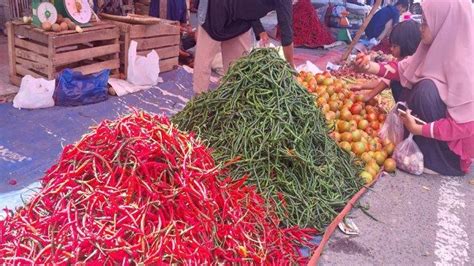 Harga Cabai Merah Di Bener Meriah Bertahan Rp 70 000 Kilogram Bawang