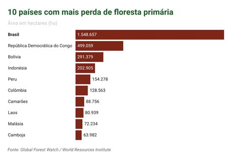 South America Green Destruction In The Amazon Rainforest