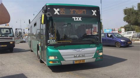 Buses Of Egged Bus Cooperative Afikim And Kavim In Rishon Lezion Youtube