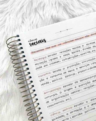 Caderno organizado: dicas +30 Ideias para deixar tudo bonito ...