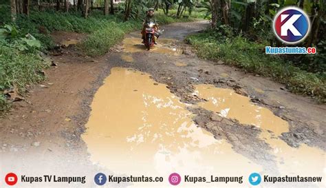 Kupas Tuntas Lapor Pak Bupati Jalan Desa Mulang Maya Lampura Rusak