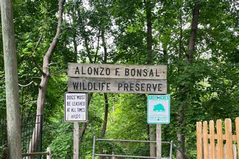 A Trip to the Alonzo F. Bonsal Wildlife Preserve in Montclair ...