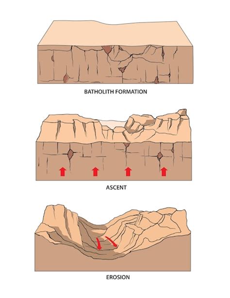 Premium Vector | Illustration of landscapes formation