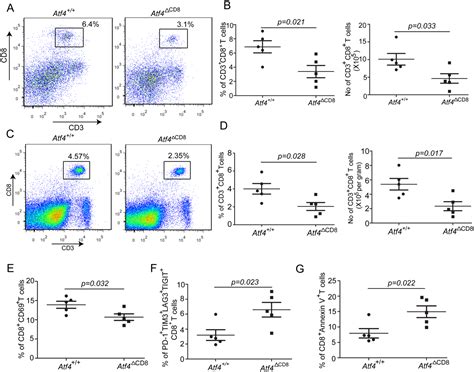 Mc38 Colon Adenocarcinoma Cells ATCC Bioz