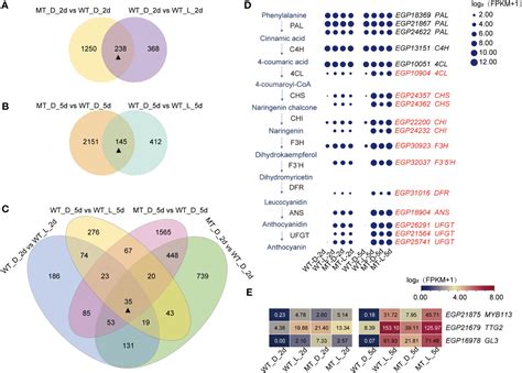 Frontiers Identification Of Candidate Genes Associated With Less