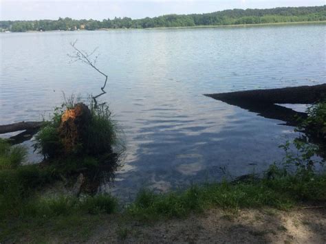 SUP Spot Schermützelsee Buckow Märkische Schweiz Brandenburg