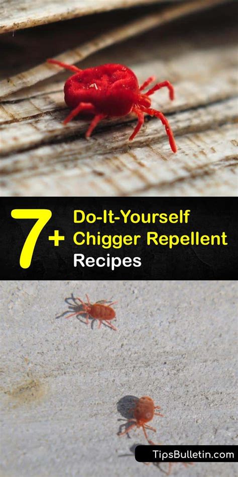 7+ Do-It-Yourself Chigger Repellent Recipes